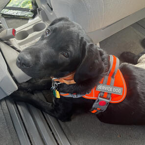 Roadblock! 03/23 SDiT