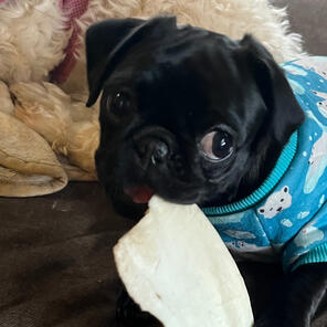 Ella of Frell! 10/23